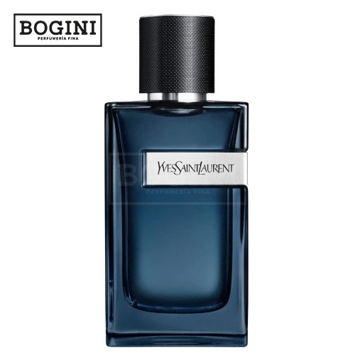 Y Intense – Yves Saint Laurent – EDP